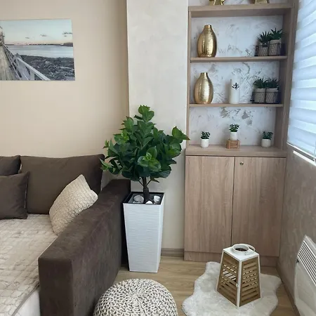 Jellena Centar Zlatibora Apartment *